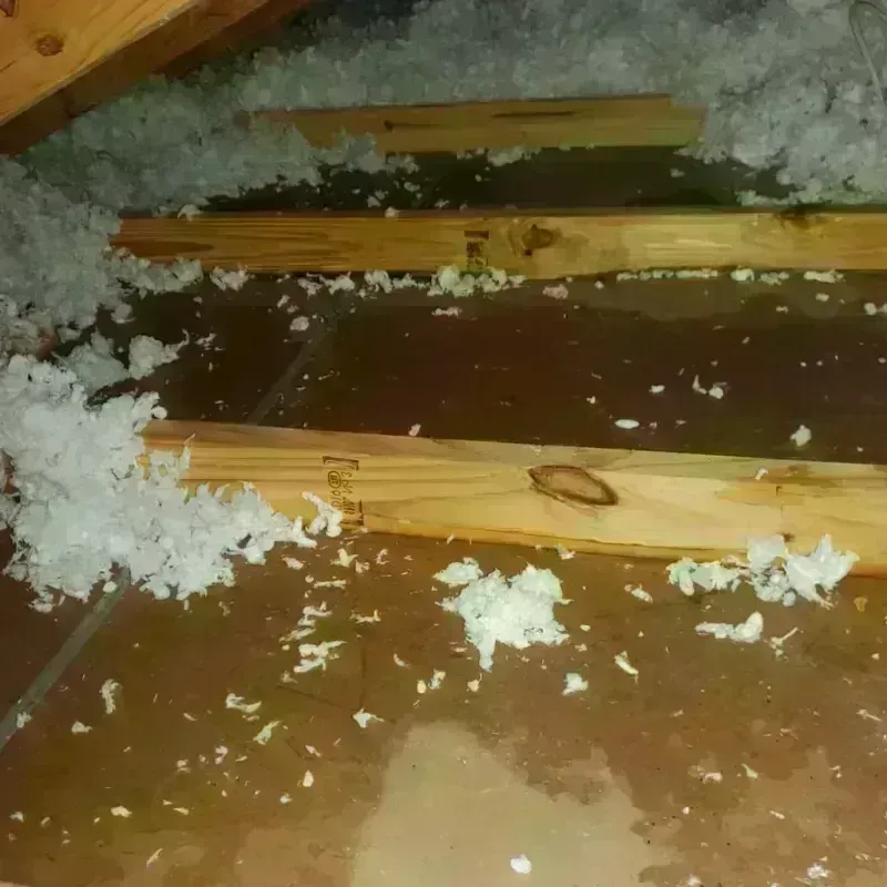 Attic Water Damage in Pastos, PR